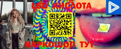 крисы Апшеронск