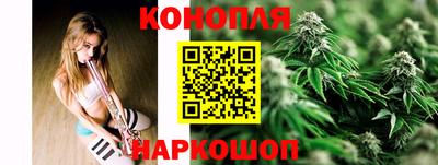 крисы Апшеронск