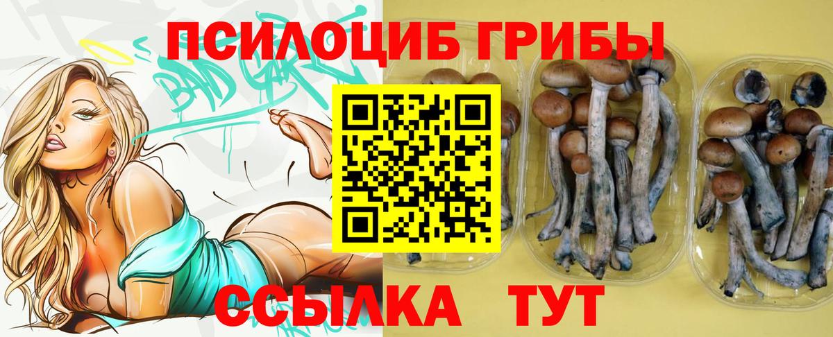 Псилоцибиновые грибы прущие грибы Красноуфимск