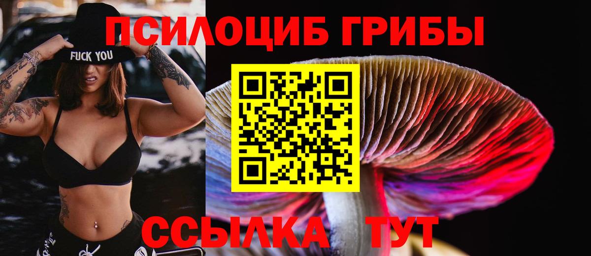 Красноуфимск  Псилоцибиновые грибы Cubensis  Вход с VPN  Псилоцибиновые грибы Magic Shrooms 